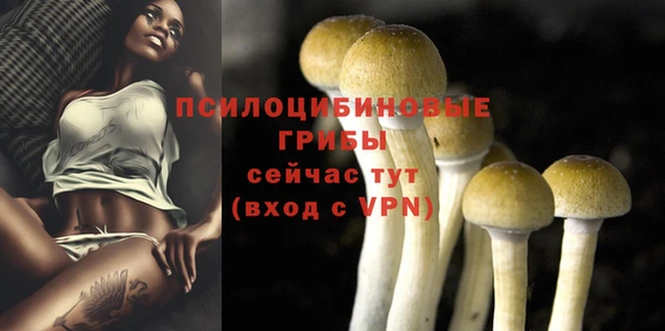 эйфоретик Вязники