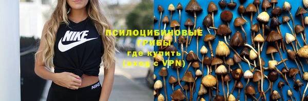 эйфоретик Вязьма