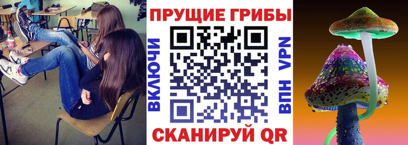 Псилоцибиновые грибы мухоморы Гаврилов Посад