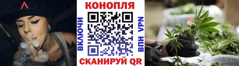 продажа наркотиков  ссылка на мегу вход  Конопля марихуана  Гаврилов Посад 